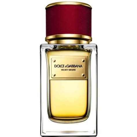 velvet desire dolce gabbana price|authentic dolce gabbana perfume.